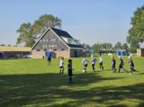 Mini Toernooitje op Sportpark Het Springer met S.K.N.W.K. JO7 en De Jonge Spartaan JO7 (61/174)